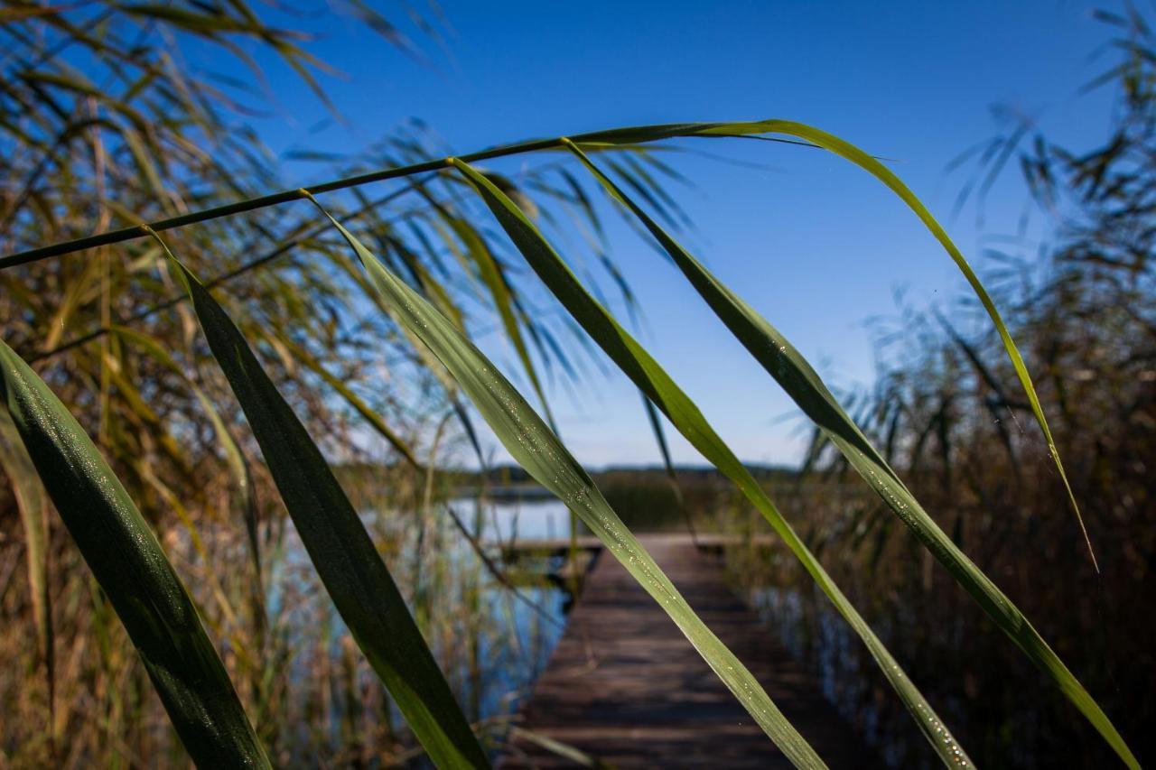 Saski Zakatek, Wakacje W Bajkowym Domku!!! Mazury, Sauna, Jezioro, Pomost, Sasek Maly المظهر الخارجي الصورة